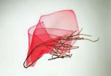 Frauenwerke II – Ausstellung im Kabinett K2