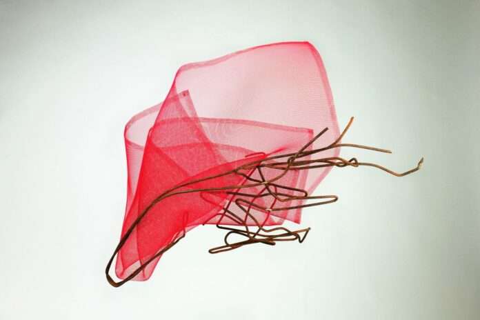 67ea053e-c47b-4412-ac25-d49bcb2b0513