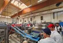 OB Beate Kimmel besucht die Barbarossa Bäckerei im IG Nord