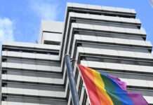 „Demokratie – Momentaufnahmen“ – Vernissage am 8. Januar an der RPTU