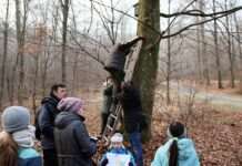 Spaziergang zur Reinigung der Nistkästen im RuheForst