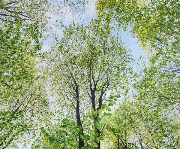 1fb29d40d537aaefd6a6b883755265b0@symfony