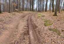 Neue Strecke des Firmenlaufs – Inklusion und Umweltschutz nicht mitgedacht