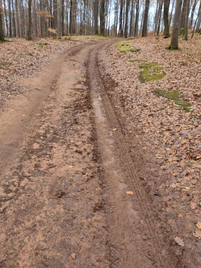 2026-02-19 Firmenlauf