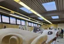 Frische Fische für Kaiserslautern