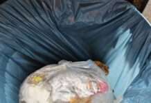 Hohe Bußgelder drohen