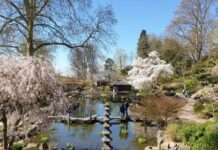 Saisonbeginn im Japanischen Garten