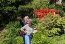 EIN URALTER TEICH / EIN FROSCH SPRINGT HINEIN