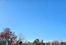 Frühlingsspaziergang mit der Oberbürgermeisterin