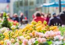 Lautern blüht auf – Frühlingsfest in der Innenstadt am 21. und 22. März