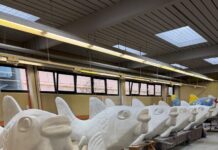 Kreative Fischideen gehen in die nächste Runde