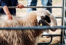 Biosphärenreservat zum Mitmachen