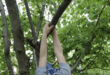 Zecken: So schützen Sie sich vor den Blutsaugern