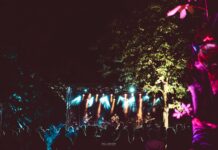 Musikindex rlp: Das erste zentrale Branchenbuch der Musikwirtschaft in Rheinland-Pfalz