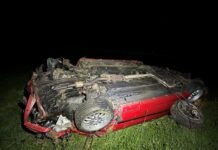 Alkoholisiert in den Grünstreifen