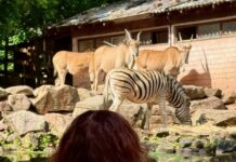 Artenschutztag im Zoo Kaiserslautern