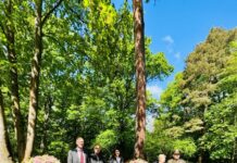 „Kindergraves“ werden bis heute gepflegt