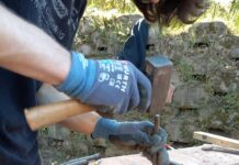 Mit der Natur arbeiten und leben – Workshop-Programm der Biosphärenakademie im Juni
