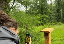 Mit Förster Joe durch den Klima-Wald