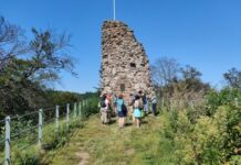 Sterne, Mythen und Blätterrauschen