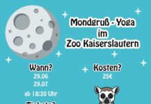 Zwei besondere Mondgruß-Yoga-Abende im Zoo