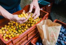 Biosphären-Bauernmarkt erstmals in Herxheim bei Landau