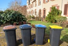 Internationaler Tag der Umwelt am 5. Juni