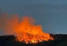 Einsatz der Bereitschaft aus dem Leitstellenbereich Kaiserslautern beim Waldbrand in Bad Kreuznach