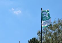 Kaiserslautern beteiligt sich an Flaggentag der „Mayors for Peace“
