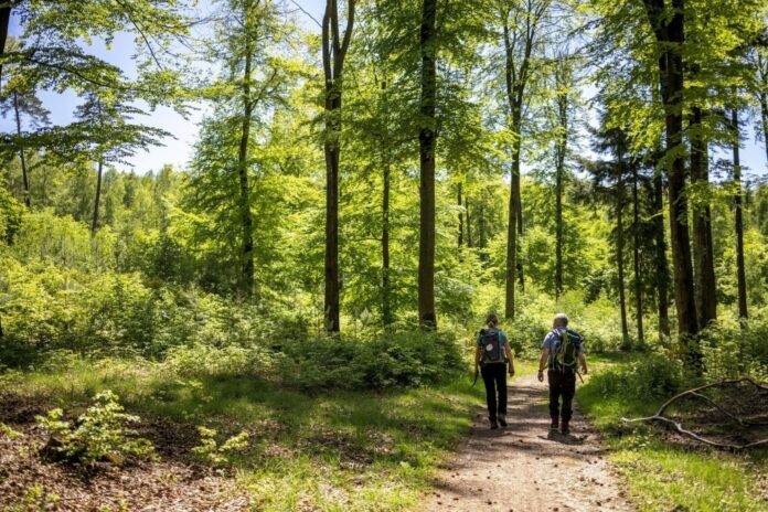 Der Wander-Halbmarathon