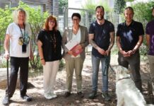 Landwirtschafts- und Umweltministerin überreichte Förderbescheid über rund 30.000 Euro für bauliche Anpassungen des Hundebereichs im Tierheim Kaiserslautern