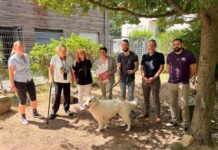 Förderbescheid in Höhe von rund 30.000 Euro an den Tierschutzverein Kaiserslautern und Umgebung e.V.