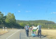 Mit dem Einkaufswagen auf dem Standstreifen unterwegs