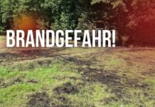 Hohe Waldbrandgefahr in der Westpfalz