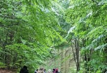 Neuer Mom Club bringt Mütter in Kaiserslautern und Rodalben zusammen