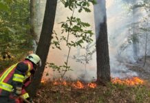 Ein zu heißes Wochenende, auch für die Feuerwehr und Integrierte Leitstelle