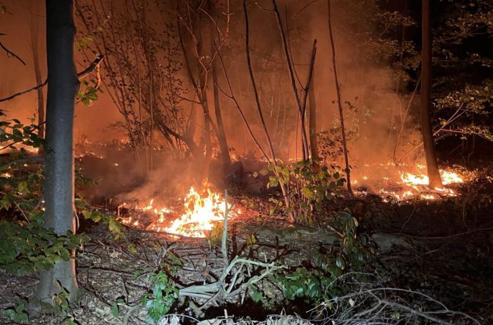 Brand Waldgrundstück Landstuhl-Atzel