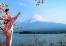 Fuji & Kirschblüte – Japan zum Schmökern