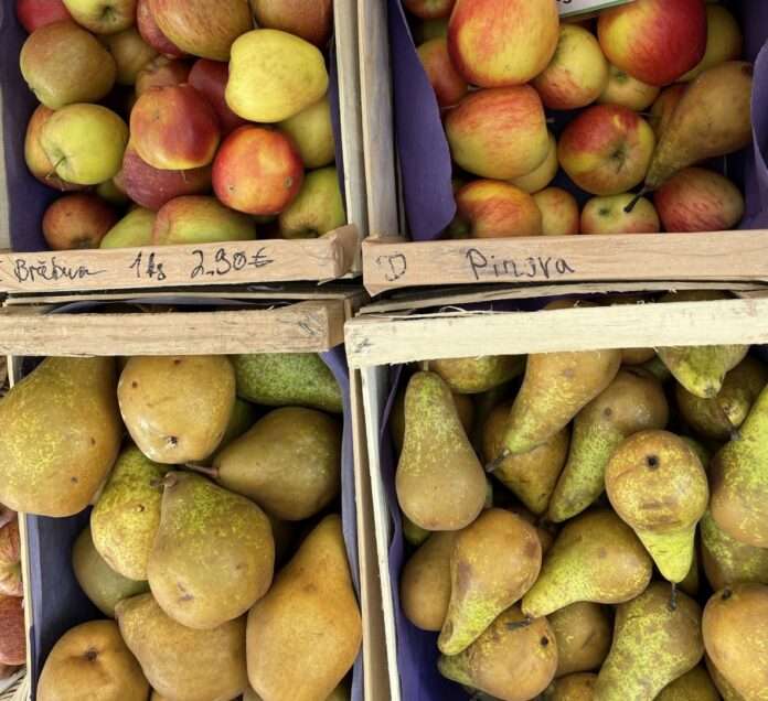 1013_Markt_Obst