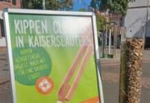 Über 6.000 Zigarettenkippen von Freiwilligen gesammelt