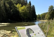 Senioren- und Inklusionswandertag der Kreisverwaltung Kaiserslautern