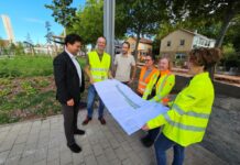 Straßenbäume erfordern besonderen Schutz