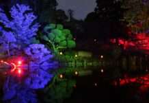 Tsukimi-Mondfest im Japanischen Garten Kaiserslautern