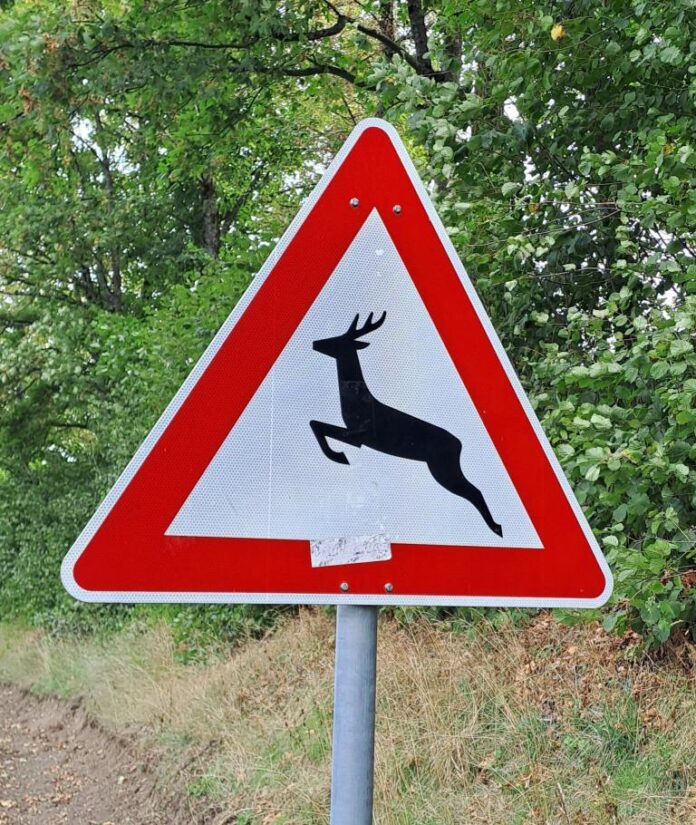 Wildwechsel