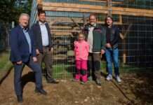 Wildkatzengehege im Wildpark offiziell eingeweiht