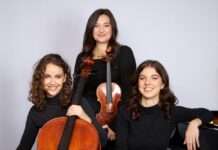AYLA-Trio spielt im Stadtmuseum Kaiserslautern