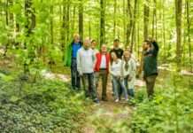 Sicher im Wald unterwegs