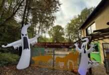Kleine Geister, große Abenteuer: Halloween im Zoo Kaiserslautern Gruselrallye für Kinder ab sechs Jahren am 31. Oktober 2026