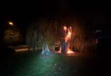Feuer zerstört Baum auf dem Kennedyplatz
